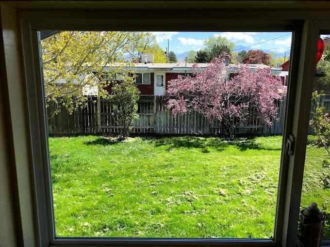 window repair